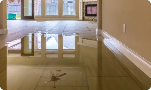 WATER DAMAGE Florida water and flood damage restoration and repair services for Tampa homeowners.