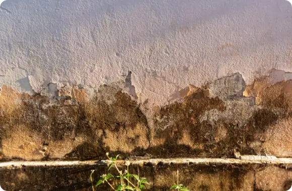 Flood cleanup and dehumidification process inside residential building Water extraction and floor drying service by Major Restorations during water damage restoration in Tampa, Florida. Prevent mold growth after flooding with Major Restorations mold removal service.