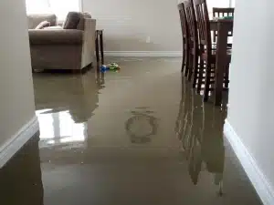 Living room flooding from storm surge in Florida during a hurricane. Damage to Tampa Bay area home.