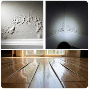 Signs of hidden water damage include bulging walls, bubbling paint, mold growth, and warped hardwood floors.